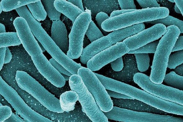 bakterijos, sukeliančios infekcinį prostatitą