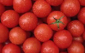 pomidorai turi potenciją